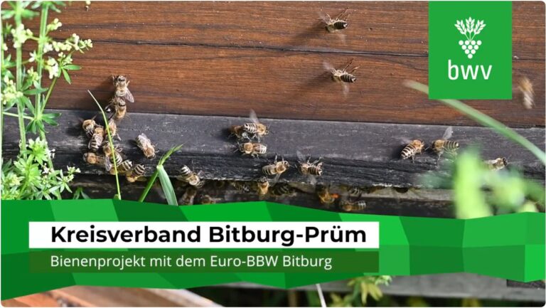 Video „Bienenprojekt BWV und Euro-BBW Bitburg-Prüm“