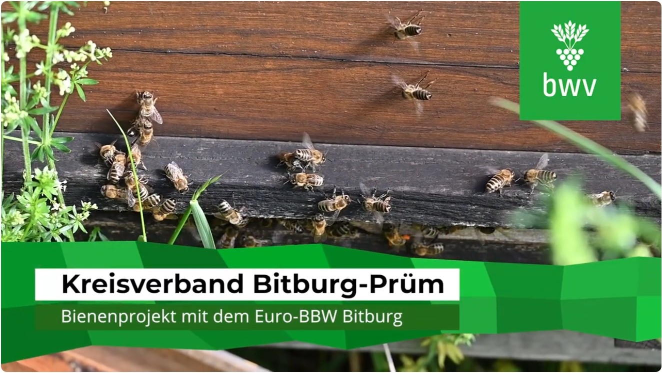 Video „Bienenprojekt BWV und Euro-BBW Bitburg-Prüm“
